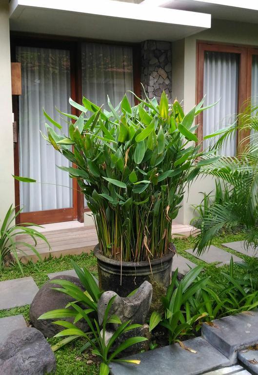 Uma Karan Otel Kuta Lombok Dış mekan fotoğraf